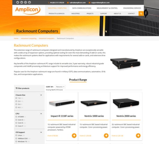 Amplicon